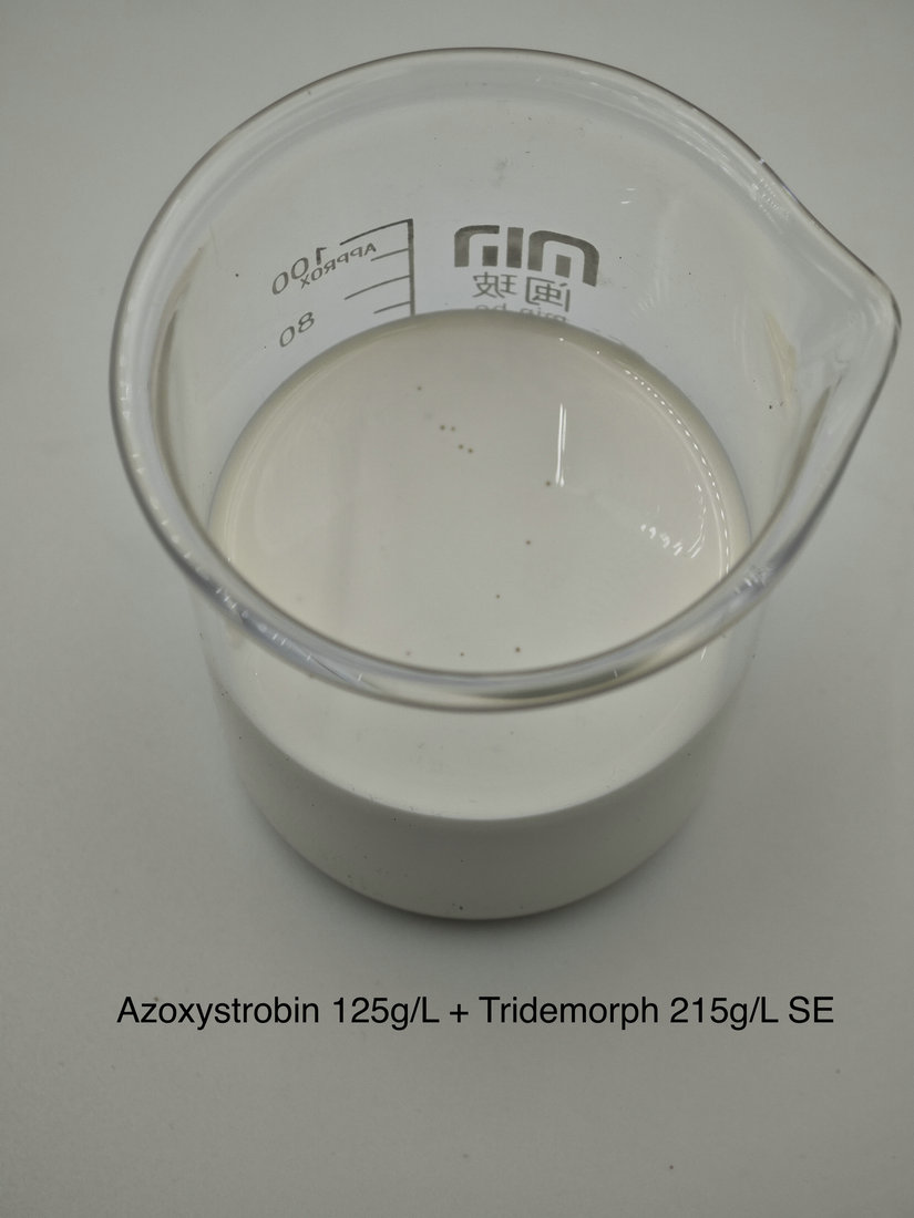 Azoxystrobin 125g/L + Tridemorph 215g/L SE